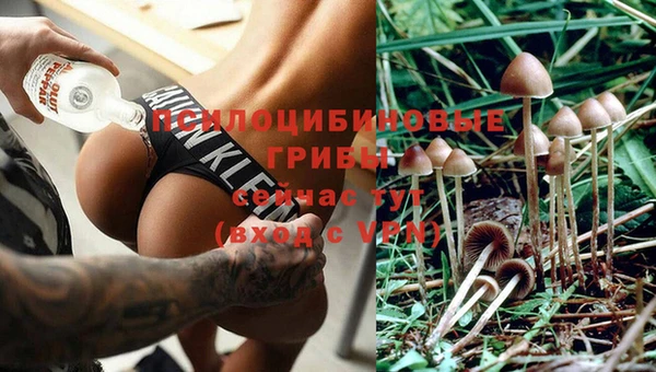 тгк Заволжск