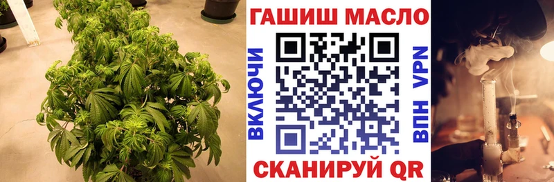 Дистиллят ТГК Wax  Купить где  Кирс 