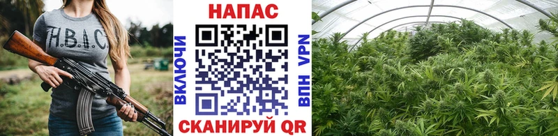 Купить закладки  Кирс  Каннабис ГИДРОПОН 